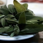 salvia